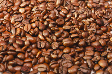 fresh beautiful shiny roasted coffee beans in close up with nice lighting 