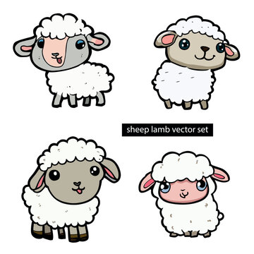sheep lamb cartoon drawing set