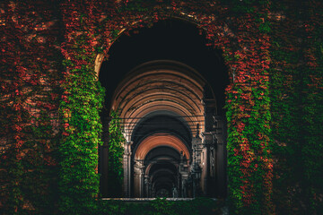 Ivy Covered Walls of Mirogoj Cemetery - Zagreb, Croatia