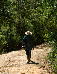 Campesino caminando por el sendero en un día soleado.