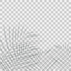 Fototapeta premium Vector transparent shadows overlay effect