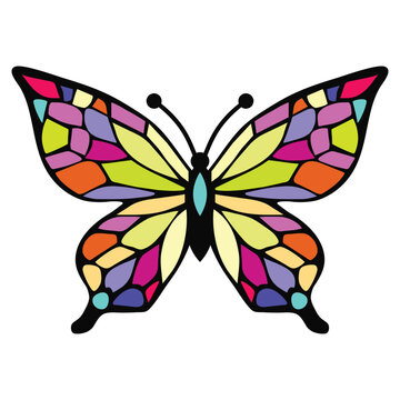 Colorful butterfly vector cartoon illustration