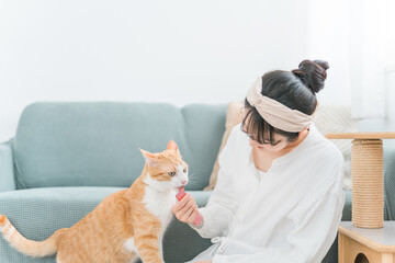 家・猫カフェで猫におやつをあげる日本人女性（餌）
