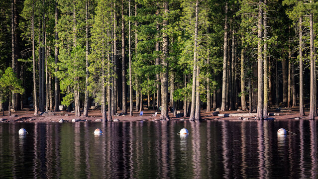 Pinecrest Lake - Pinecrest CA 