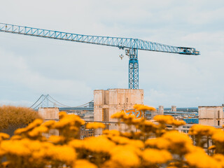 Construction building crane in Philadelphia with Benjamin Franklin bridge in background and flowers in foreground
