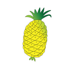 Vector Fruit pineapple 