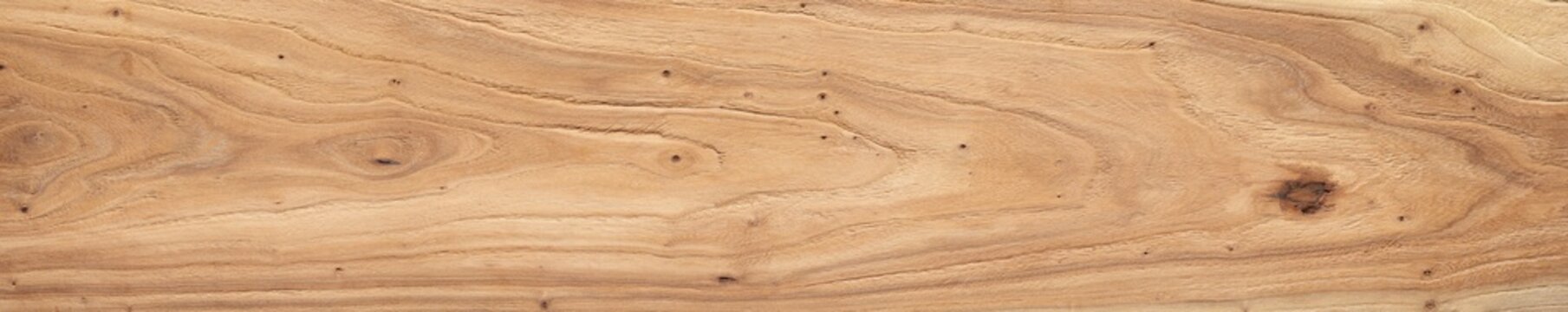 Wood texture background.  Elm wood texture. Extra long elm planks texture background. Wide abstract texture background.