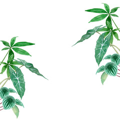 アナログ水彩観葉植物パターンセット