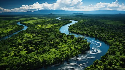 Obraz premium An aerial view of the Amazon River meandering through the rainforest, with the canopy displaying a multitude of greens.
