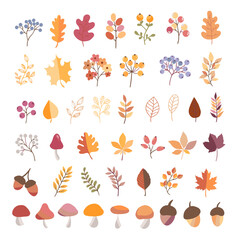 Set of colorful autumn leaves and berries. Isolated on a white background. Simple cartoon flat style. vector illustration.