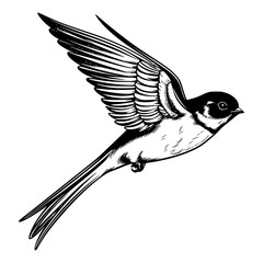 Barn swallow silhouette, Barn swallow mascot logo, Barn swallow Black and White Animal Symbol Design, Bird icon.