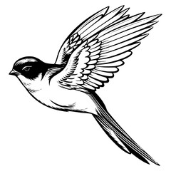 Barn swallow silhouette, Barn swallow mascot logo, Barn swallow Black and White Animal Symbol Design, Bird icon.