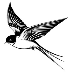 Barn swallow silhouette, Barn swallow mascot logo, Barn swallow Black and White Animal Symbol Design, Bird icon.