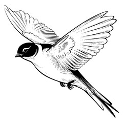 Barn swallow silhouette, Barn swallow mascot logo, Barn swallow Black and White Animal Symbol Design, Bird icon.