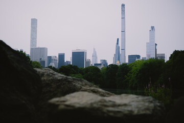 New York City view from Central Park