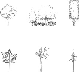 Vector sketch of plant view design illustration for complete garden view from the front