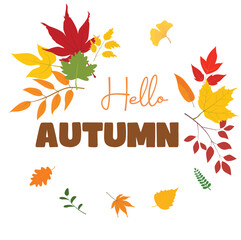 Fototapeta na wymiar Hello autumn vector. Autumn design template for decoration, sale banner, advertisement, greeting card and media content. Autumn element illustration. Autumn leaves flat vector isolated on white.