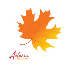 Autumn maple leaves vector illustration.  Autumn  leaves design template for decoration, sale banner, advertisement, greeting card and media content. Autumn concept. Flat vector isolated on white.
