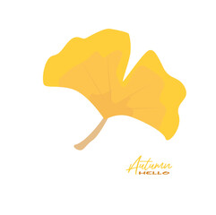 Fototapeta premium Autumn ginkgo leaves vector illustration. Autumn leaves design template for decoration, sale banner, advertisement, greeting card and media content. Autumn concept. Flat vector isolated on white.