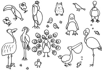 いろいろな鳥_線画