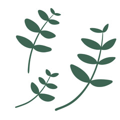 Sprigs of Green Leaves