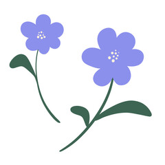 Two Blue Flowers