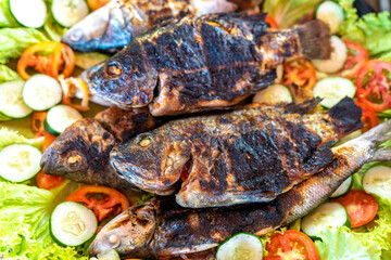 Grilled fish tilapia and bangus on top of fresh lettuce, tomato and cucumber