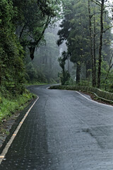 view of foggy weather in hill station darjeeling