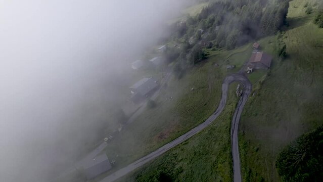 Aerial of Mont Chery mountain slope with green meadows and pine trees seen through cloud obscuring half of the scenery. Picturesque weather condition scenic natural atmosphere. Breathing air.