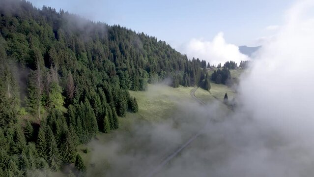 Aerial forward of Mont Chery mountain slope with green meadows and pine tree divide with cloud obscuring half of the scenery. Picturesque weather condition scenic natural atmosphere. Breathing air.