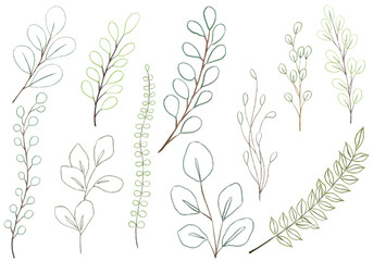 botanical line hand drawn set with different shape
