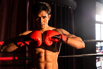 Muay Thai boxer punch fish his hand together in front of camera in ready to fight stance posing at...