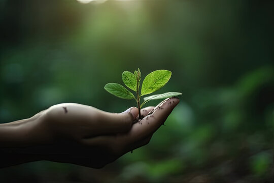 hand children holding young plant with sunlight on green nature background. concept eco earth day, Generative AI