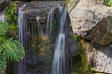 Waterfall in the Honolulu Rainforest.