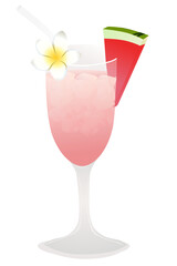 Watermelon fresh drinks vector illustration