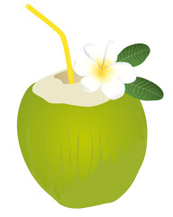 coconut water with flower summer drinks vector