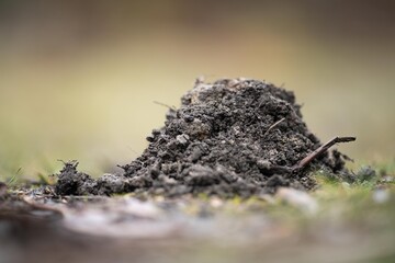 soil, Compost pile, organic thermophilic compost turning in Tasmania Australia 