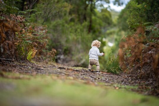 baby and dog in the wild forest together walking