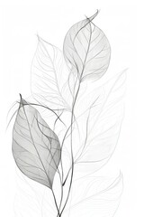 Simple minimalistic line art print single botanical with white background, Generative ai