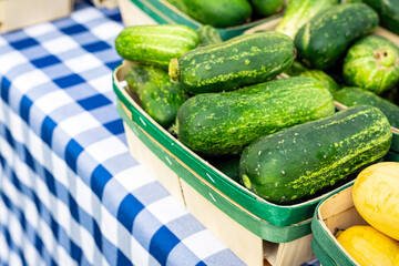 Cucumbers on blue checker table cloth