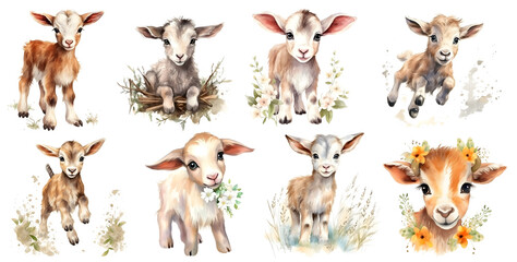 cute baby goat watercolor set, isolated on Background, generated ai 