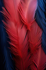 Beautiful feathers for background