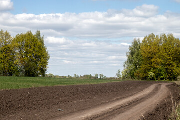 Fototapeta na wymiar Blue sky with white clouds over a rural road. Road in the field, leaving in the forest. A dirt road, a plowed field nearby, trees in the distance in autumn. Rural landscape on a sunny autumn day. 