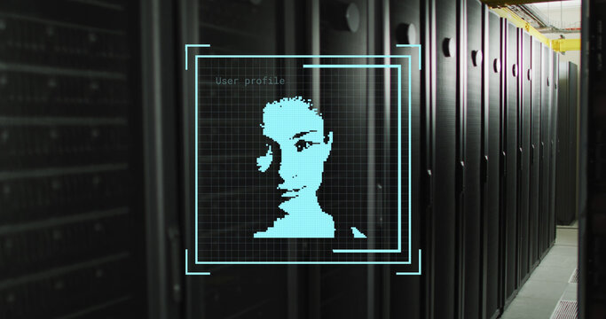 Composite of biometric photo and data processing over computer servers