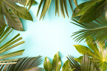 Troppical summer background with palm leafs on sky blue background. Nature concept