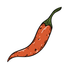 Red hot pepper vector icon. Fresh chili vegetable. Spicy seasoning for Mexican, Asian food. Hand drawn illustration isolated on white. Simple sketch, doodle. Clipart for packaging, posters, print, web