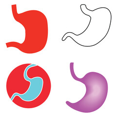 stomach icon vector
