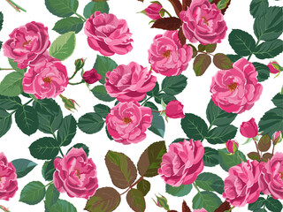 Floral pattern with peonies or roses and foliage