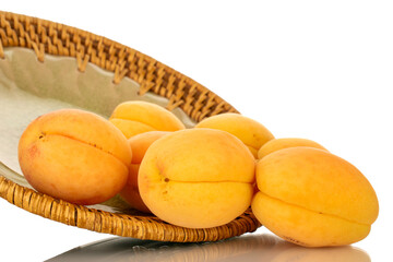 A few bright yellow apricots on a ceramic plate, macro, isolated on a white background.