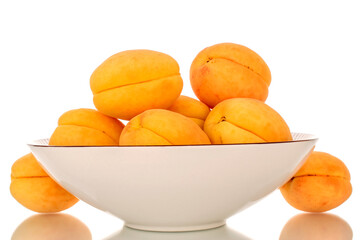 A few bright yellow apricots on a white  ceramic plate, macro, isolated on a white background.